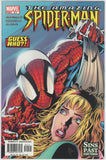 Amazing Spider Man #511 (1998) - 8.5 VF+ *Sins Past*