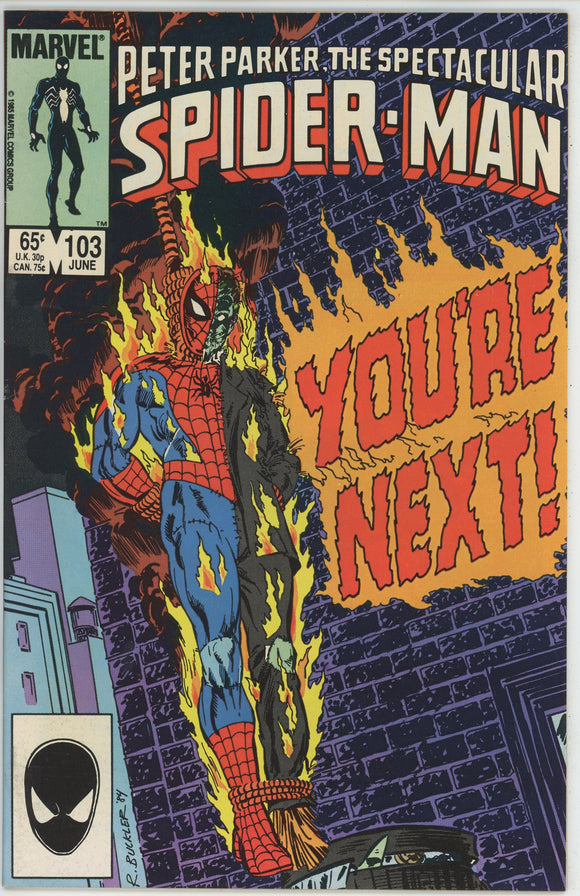 Spectacular Spider-Man #103 (1976) - 8.0 VF *Compulsion*