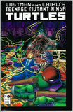 Teenage Mutant Ninja Turtles #9 (1984) - 9.2 NM- *The Passing*