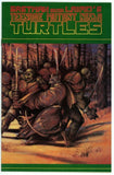 Teenage Mutant Ninja Turtles #31 (1984) - 8.5 VF+ *Souls Winter*