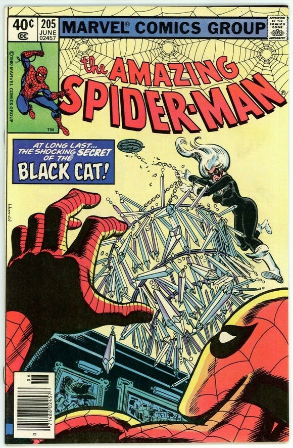 Amazing Spider Man #205 (1963) - 6.0 FN *Black Cat/In Love And War*