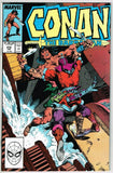 Conan the Barbarian #215 (1970) - 7.0 FN/VF *Death Pit*