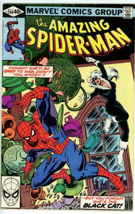 Amazing Spider Man #204 (1963) - 6.5 FN+ *3rd Appearance Black Cat*