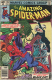 Amazing Spider Man #204 (1963) - 4.0 VG *3rd Appearance Black Cat*