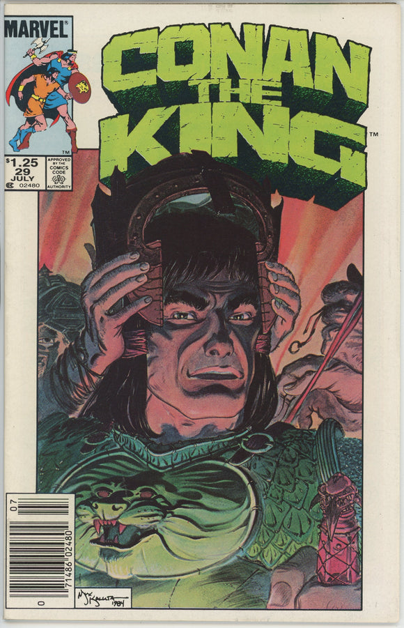 Conan the King #29 (1980) - 8.0 VF *The Sleeping Lion* Newsstand