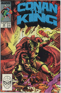 Conan the King #48 (1980) - 8.0 VF *The Winter of Discontent*