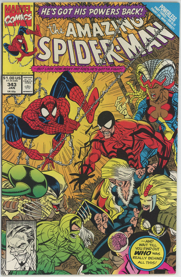 Amazing Spider Man #343 (1963) - 8.0 VF *War Garden/Black Cat*