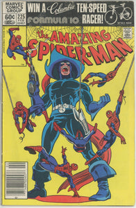 Amazing Spider Man #225 (1963) - 5.0 VG/FN *Great Foolkiller Cover*