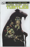 Teenage Mutant Ninja Turtles #52 (2011) - 8.0 VF *1:10 Moustafa Variant*