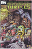 Teenage Mutant Ninja Turtles #53 (2011) - 8.5 VF+ *IDW A Cover*