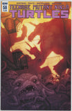 Teenage Mutant Ninja Turtles #58 (2011) - 9.0 VF/NM *IDW A Cover*