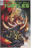 Teenage Mutant Ninja Turtles #72 (2011) - 9.2 NM- *IDW A Cover*
