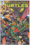 Teenage Mutant Ninja Turtles #74 (2011) - 9.0 VF/NM *IDW A Cover*