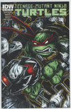 Teenage Mutant Ninja Turtles #48 (2011) - 7.0 FN/VF *IDW B Cover*
