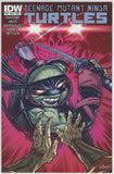 Teenage Mutant Ninja Turtles #36 (2011) - 6.0 FN *IDW A Cover*