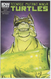 Teenage Mutant Ninja Turtles #38 (2011) - 7.0 FN/VF *IDW A Cover*