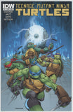 Teenage Mutant Ninja Turtles #41 (2011) - 8.5 VF+ *IDW A Cover*