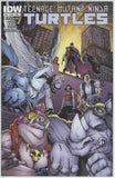 Teenage Mutant Ninja Turtles #42 (2011) - 8.5 VF+ *IDW A Cover*