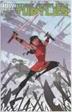 Teenage Mutant Ninja Turtles #13 (2011) - 6.5 FN+ *IDW A Cover*