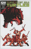 Teenage Mutant Ninja Turtles #16 (2011) - 8.0 VF *IDW A Cover*