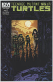 Teenage Mutant Ninja Turtles #29 (2011) - 7.0 FN/VF *IDW B Cover*