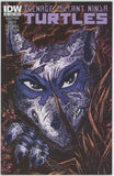 Teenage Mutant Ninja Turtles #30 (2011) - 8.5 VF+ *IDW B Cover*