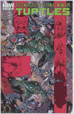 Teenage Mutant Ninja Turtles #47 (2011) - 9.4 NM *IDW A Cover*