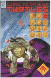 Teenage Mutant Ninja Turtles #67 (2011) - 9.2 NM- *IDW A Cover*