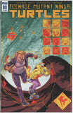 Teenage Mutant Ninja Turtles #69 (2011) - 9.6 NM+ *IDW A Cover*
