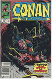 Conan the Barbarian #217 (1970) - 7.0 FN/VF *City of Shadows* Newsstand