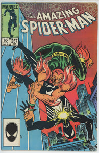 Amazing Spider Man #257 (1963) - 4.5 VG+ *1st App Ned Leeds Hobgoblin*