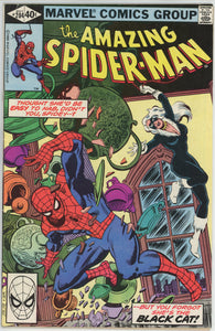 Amazing Spider Man #204 (1963) - 5.5 FN- *3rd Appearance Black Cat*